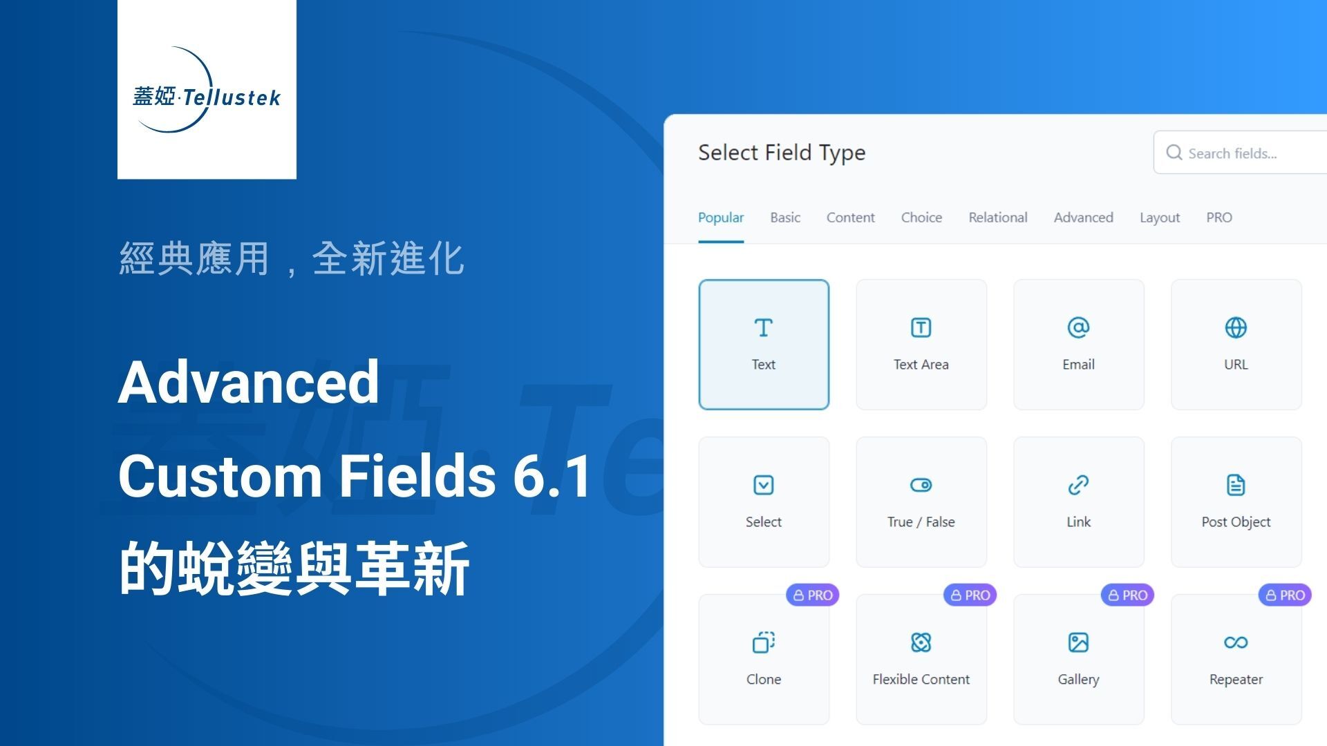 Advanced Custom Field (ACF) 6.1 的蛻變與革新